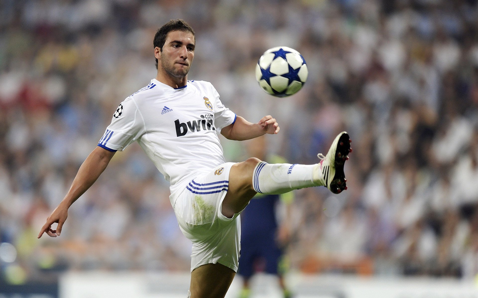 激情奔跑，超越极限—2023城市国际马拉松赛圆满落幕